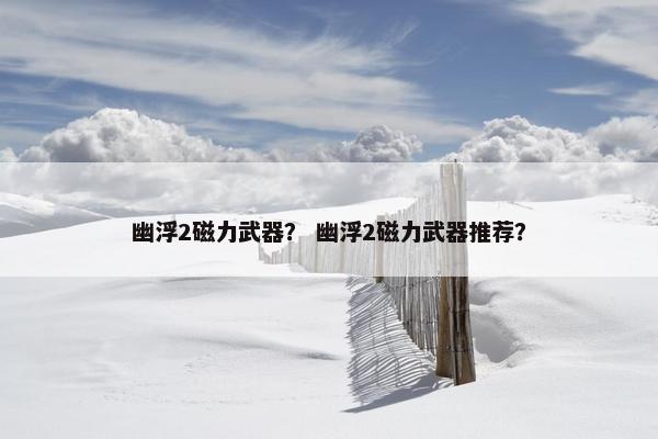 幽浮2磁力武器？ 幽浮2磁力武器推荐？