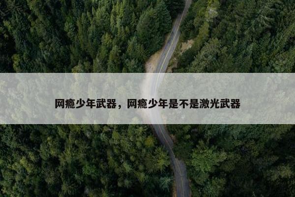 网瘾少年武器，网瘾少年是不是激光武器