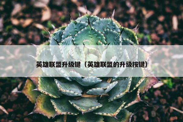 英雄联盟升级键（英雄联盟的升级按键）