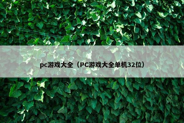 pc游戏大全（PC游戏大全单机32位）