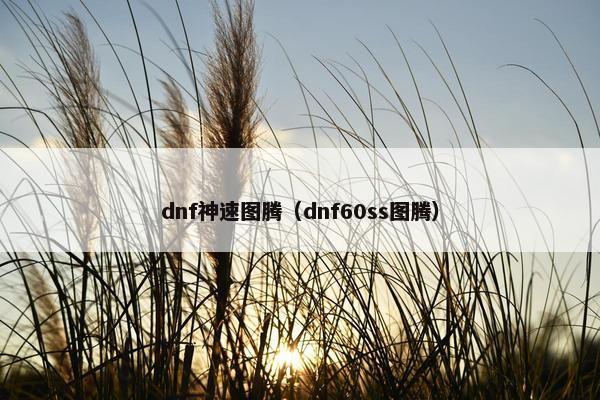 dnf神速图腾（dnf60ss图腾）