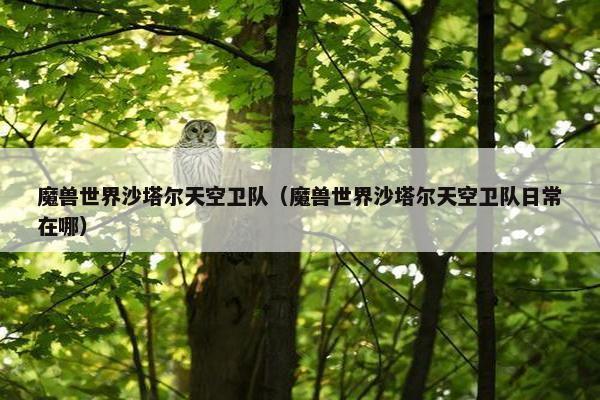 魔兽世界沙塔尔天空卫队（魔兽世界沙塔尔天空卫队日常在哪）