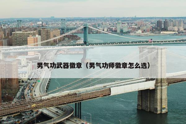 男气功武器徽章（男气功师徽章怎么选）
