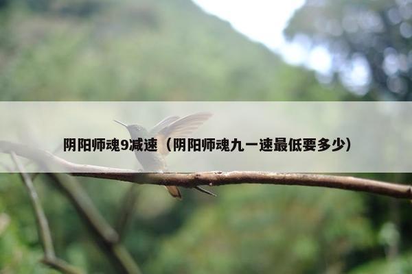 阴阳师魂9减速（阴阳师魂九一速最低要多少）