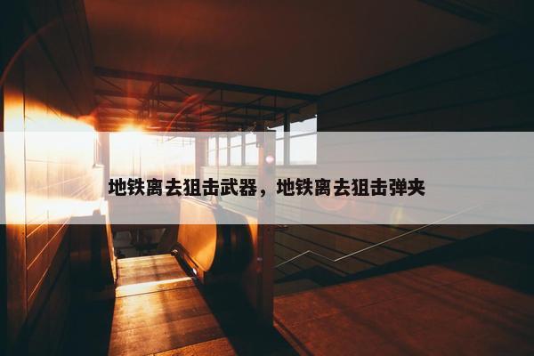 地铁离去狙击武器，地铁离去狙击弹夹