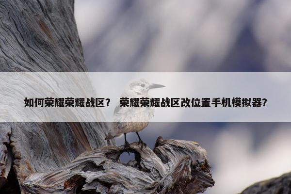 如何荣耀荣耀战区？ 荣耀荣耀战区改位置手机模拟器？