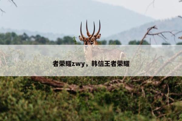 者荣耀zwy，韩信王者荣耀