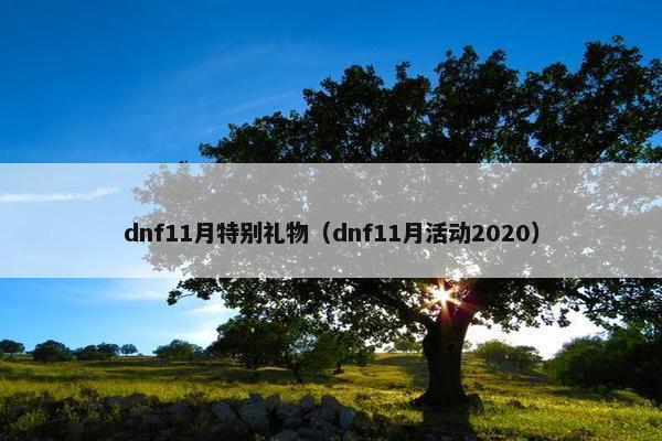 dnf11月特别礼物（dnf11月活动2020）