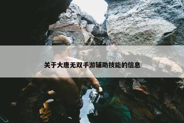 关于大唐无双手游辅助技能的信息