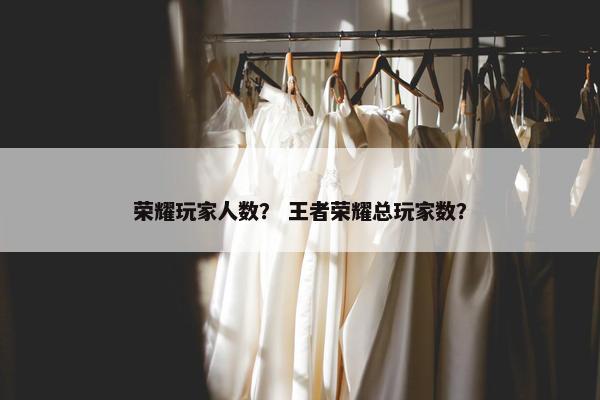 荣耀玩家人数？ 王者荣耀总玩家数？