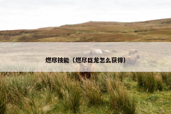 燃尽技能（燃尽巨龙怎么获得）