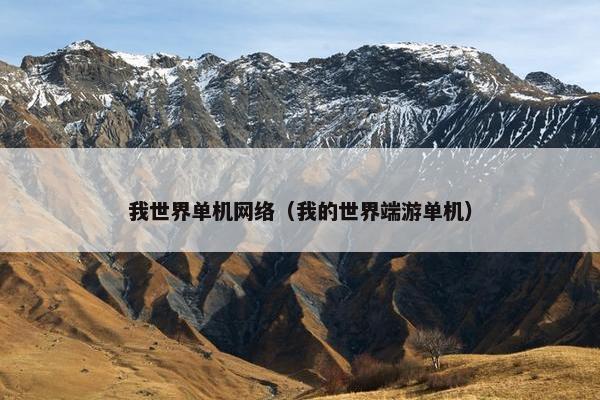 我世界单机网络（我的世界端游单机）