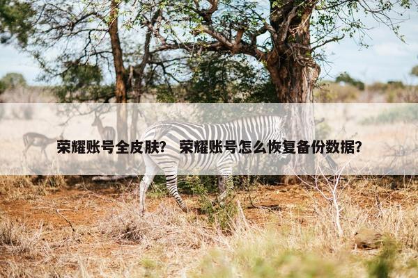 荣耀账号全皮肤？ 荣耀账号怎么恢复备份数据？