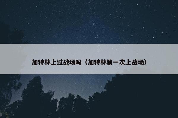 加特林上过战场吗（加特林第一次上战场）