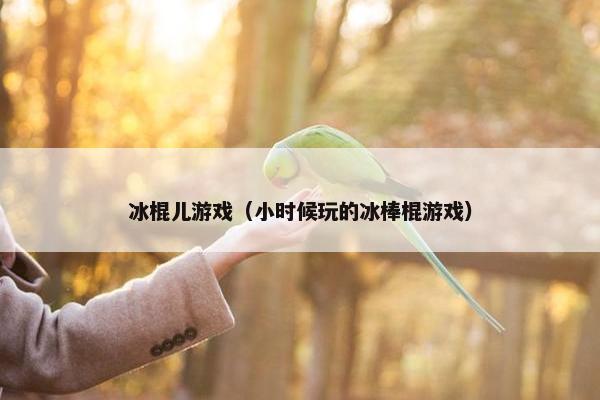 冰棍儿游戏（小时候玩的冰棒棍游戏）