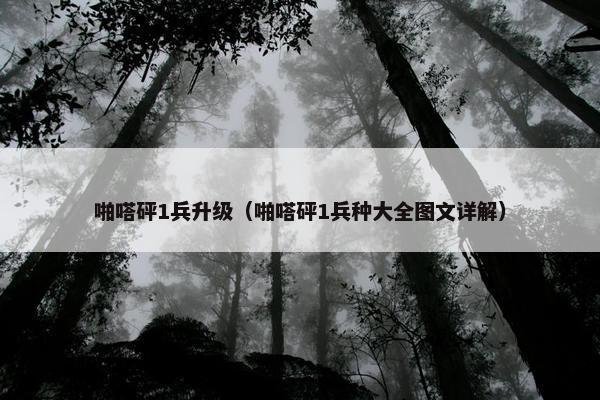 啪嗒砰1兵升级（啪嗒砰1兵种大全图文详解）