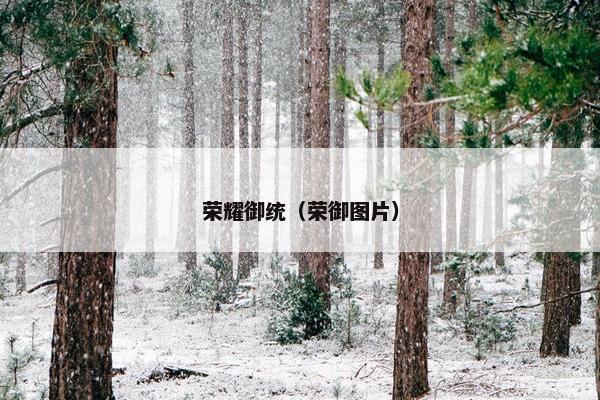 荣耀御统（荣御图片）