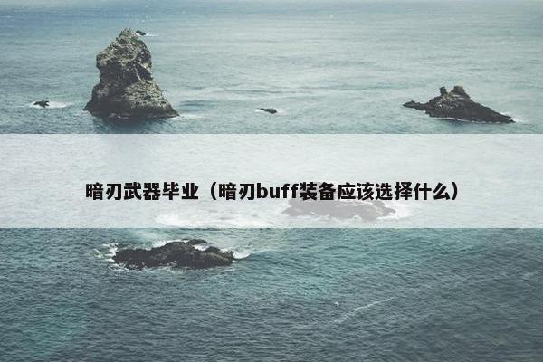 暗刃武器毕业（暗刃buff装备应该选择什么）