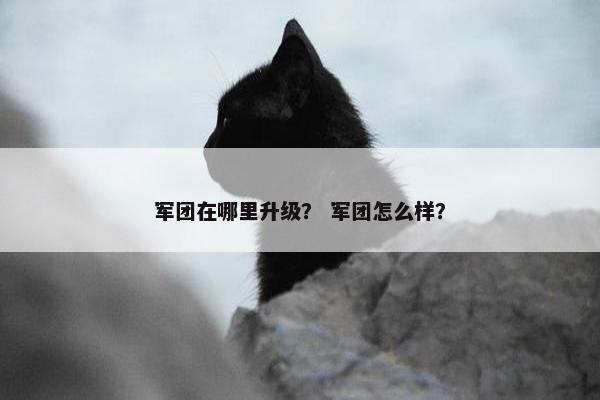 军团在哪里升级？ 军团怎么样？