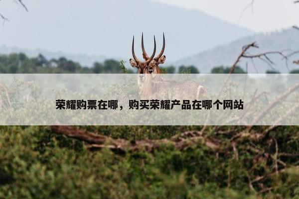 荣耀购票在哪，购买荣耀产品在哪个网站