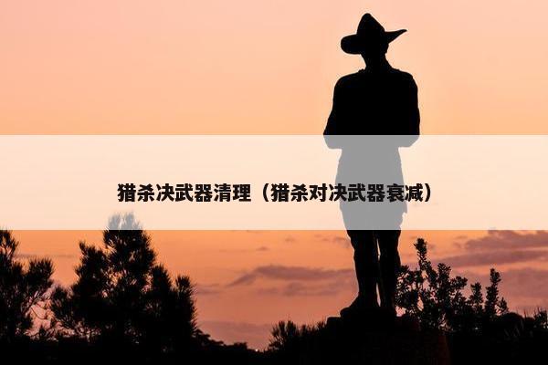 猎杀决武器清理（猎杀对决武器衰减）