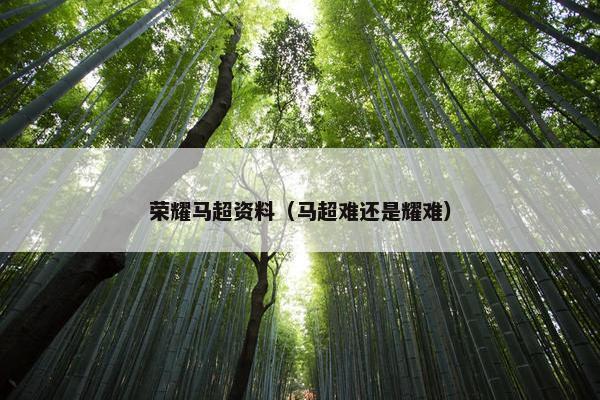 荣耀马超资料（马超难还是耀难）
