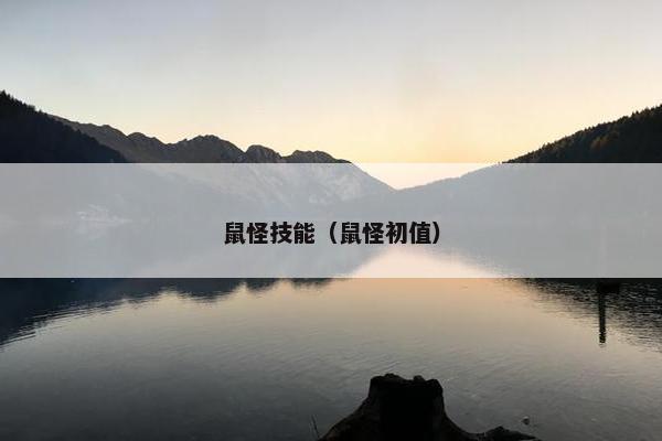 鼠怪技能（鼠怪初值）