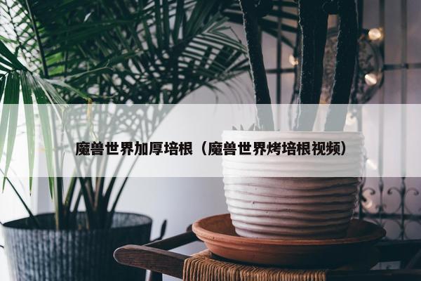 魔兽世界加厚培根（魔兽世界烤培根视频）
