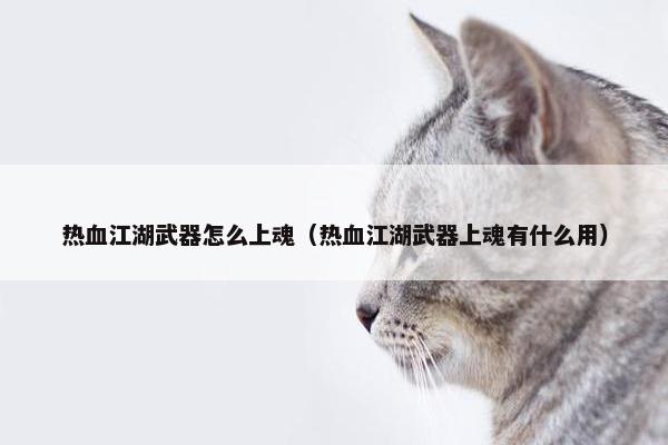 热血江湖武器怎么上魂（热血江湖武器上魂有什么用）