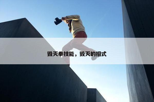 毁灭拳技能，毁灭的招式