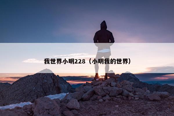 我世界小明228（小明我的世界）