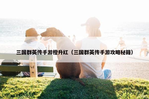 三国群英传手游橙升红（三国群英传手游攻略秘籍）