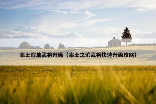 率土滨单武将升级（率土之滨武将快速升级攻略）