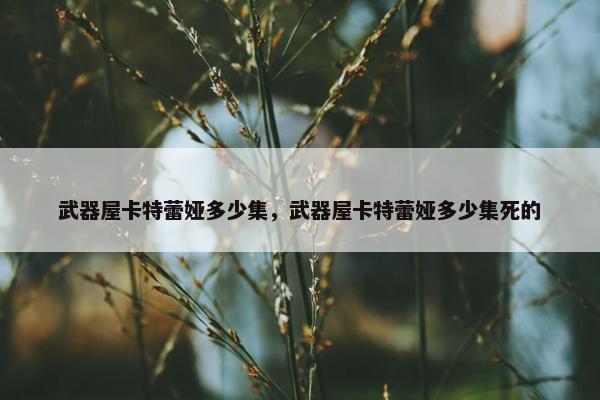 武器屋卡特蕾娅多少集，武器屋卡特蕾娅多少集死的