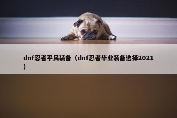 dnf忍者平民装备（dnf忍者毕业装备选择2021）