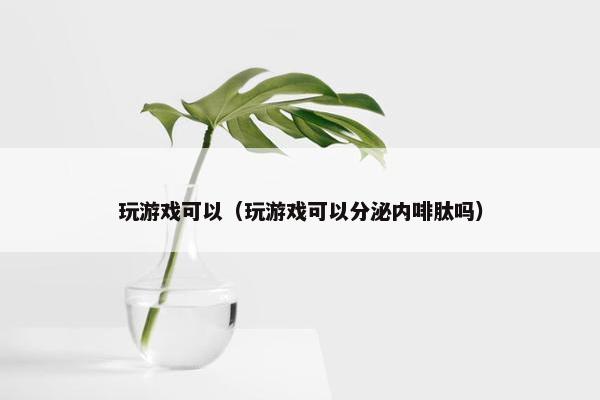 玩游戏可以（玩游戏可以分泌内啡肽吗）