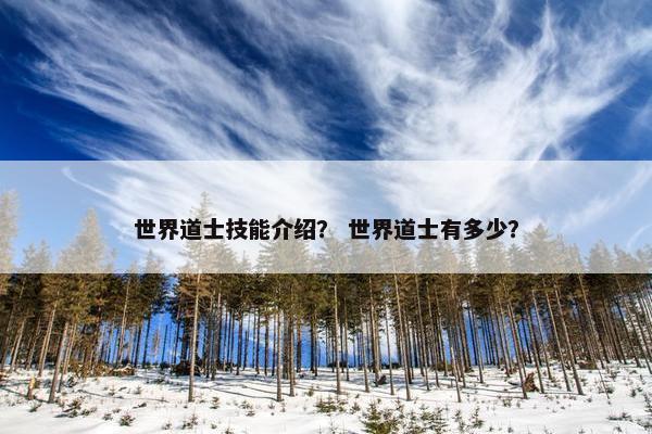 世界道士技能介绍？ 世界道士有多少？