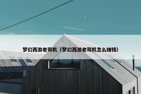 梦幻西游老司机（梦幻西游老司机怎么赚钱）