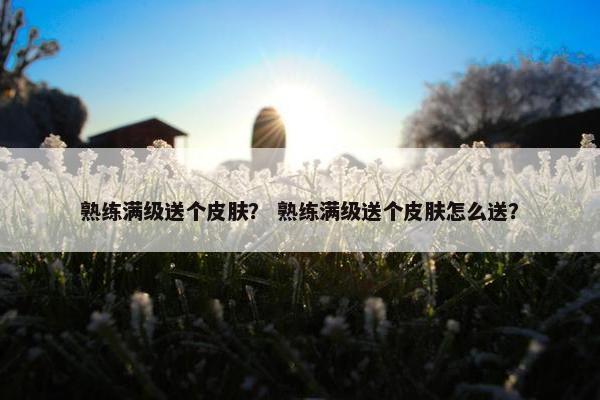 熟练满级送个皮肤？ 熟练满级送个皮肤怎么送？