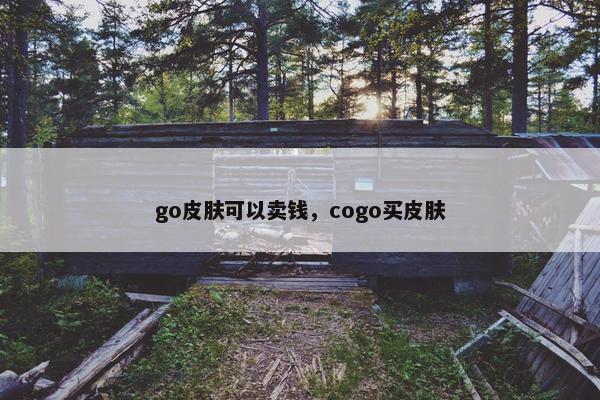 go皮肤可以卖钱，cogo买皮肤