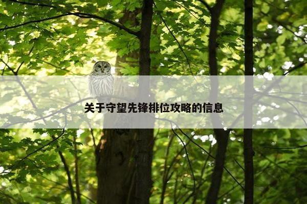 关于守望先锋排位攻略的信息