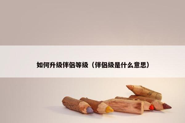 如何升级伴侣等级（伴侣级是什么意思）