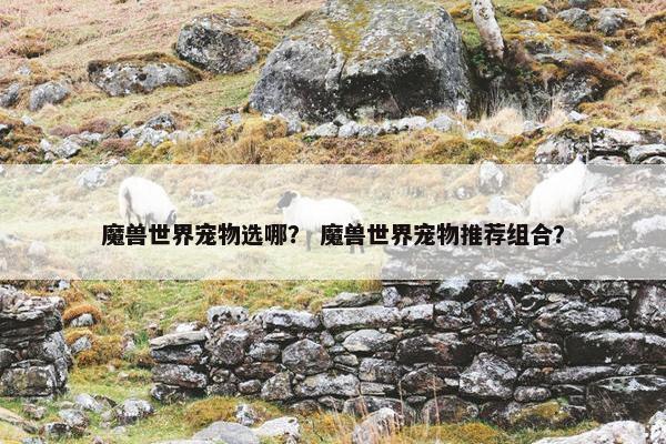 魔兽世界宠物选哪？ 魔兽世界宠物推荐组合？