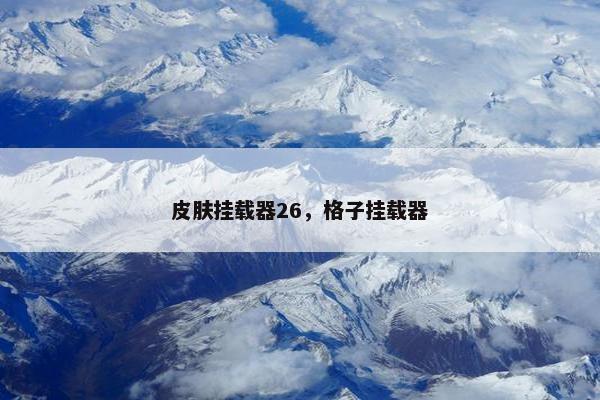 皮肤挂载器26，格子挂载器