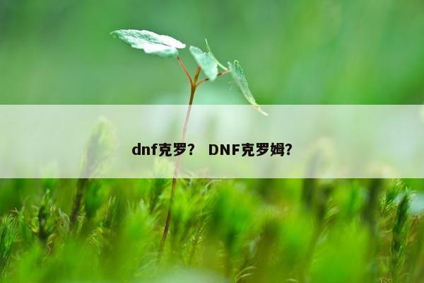 dnf克罗？ DNF克罗姆？