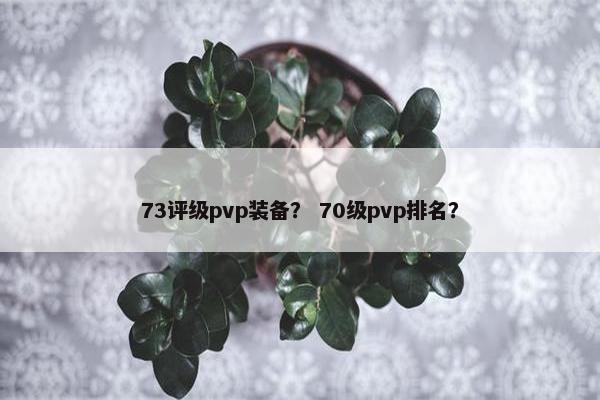 73评级pvp装备？ 70级pvp排名？
