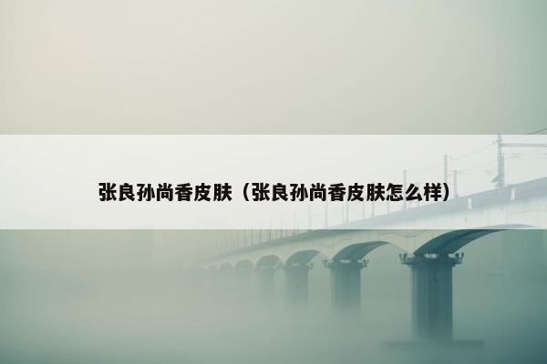 张良孙尚香皮肤（张良孙尚香皮肤怎么样）