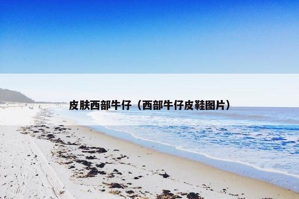 皮肤西部牛仔（西部牛仔皮鞋图片）