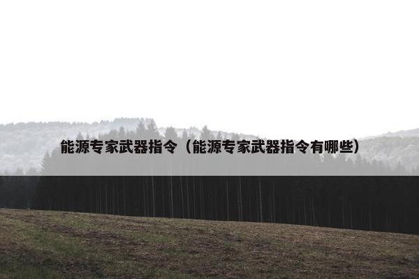 能源专家武器指令（能源专家武器指令有哪些）