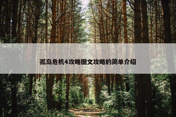 孤岛危机4攻略图文攻略的简单介绍